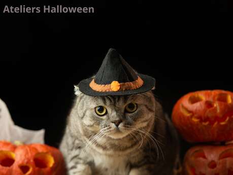 Ateliers Halloween avec "Dessine moi un Mouton"