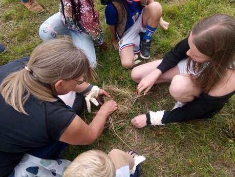 Bricol’Nature – Fabriquer pour aider les animaux