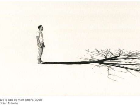 Exposition - "Fabien Mérelle - Ligne de vie"