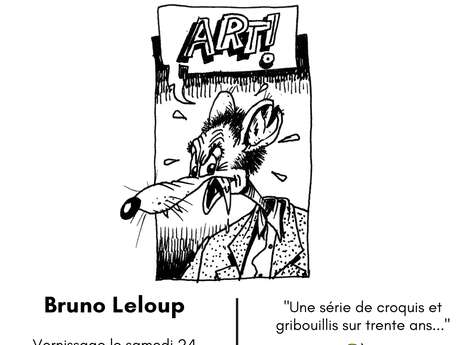 Krokizégribouillis