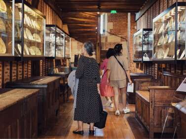 Visite guidée générale