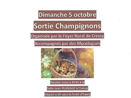 Sortie champignons