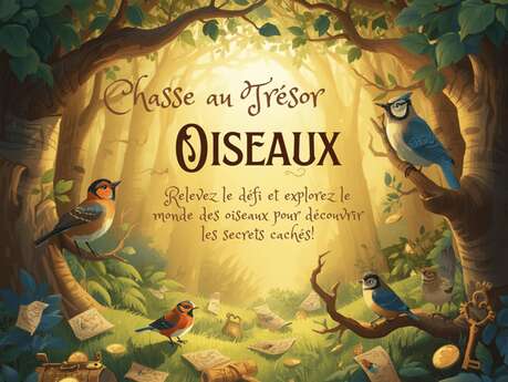 Chasse aux trésors Oiseaux