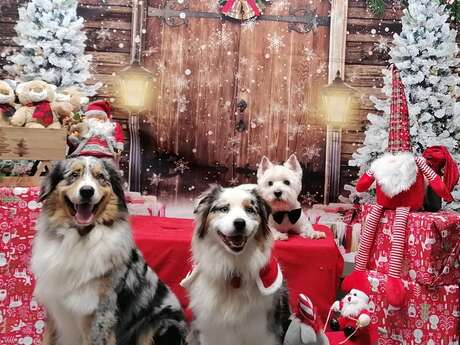 Séance photo de Noël