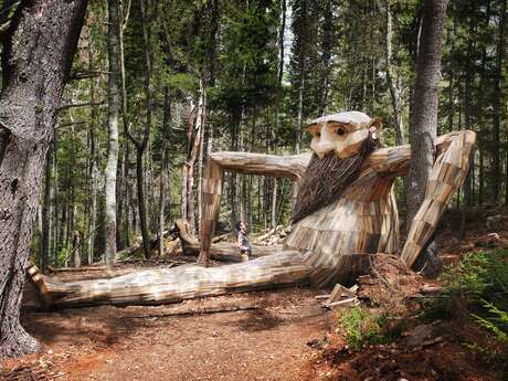 Forêt Monumentale - Visites guidées