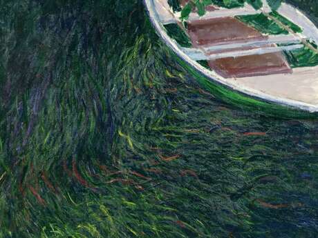 Impressions végétales - Les Zoziaux de Monet