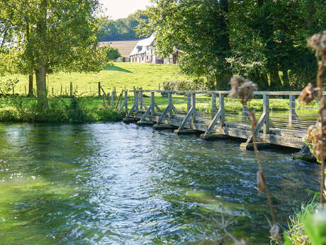 Les Etangs de Saint Aubin le Cauf