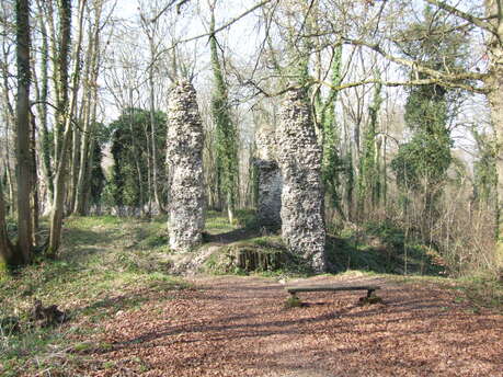 Escape Game au coeur du Bois de Bernouville [3èmes rencontres de la Biodiversité]