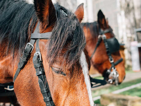 La Calèche de Noël accompagnée du Père Noël