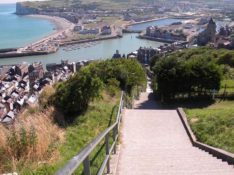 Au sommet des falaises