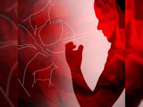 Dans ma paume - Compagnie 14:20