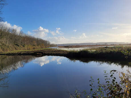 Sortie nature : Le marais au crépuscule