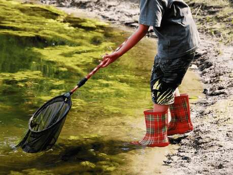 Découverte nature en famille - Rivière et compagnie