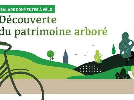 Balade commentée à vélo : Découverte du patrimoine arboré