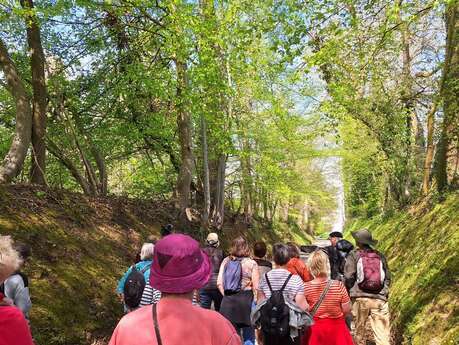 Balade gourmande, les traditions cauchoises