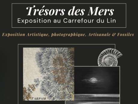 Exposition Trésors des Mers au Carredour du lin
