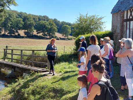 Sortie Nature : Baume sauvage