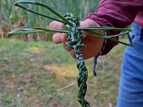 Sortie Nature : Tissages sauvages