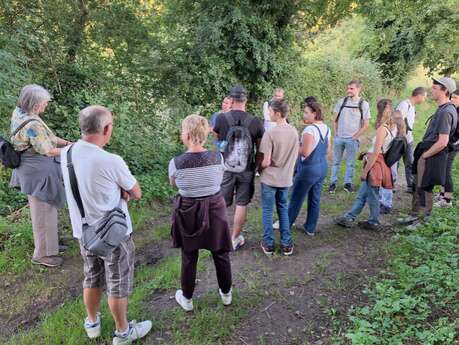 Sortie Nature : Sous le ciel des légendes