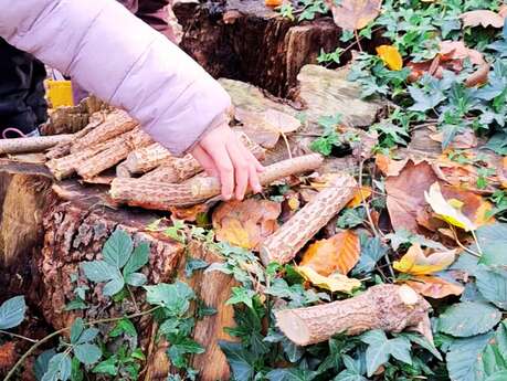 Sortie Nature : Balade Créative - Jeux de Nature