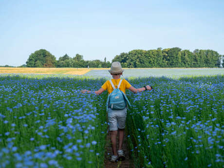Week-end au Pays du Lin