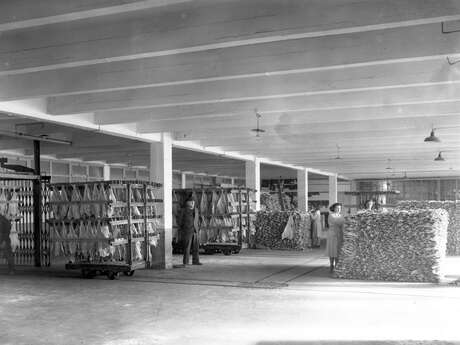 OUVERTURE DE L'EXPOSITION : Du béton armé à la morue séchée