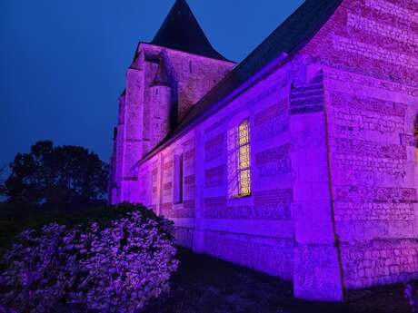 Pierres en Lumières 2026 en l'église Saint-Jean d'Abbetot à LA CERLANGUE