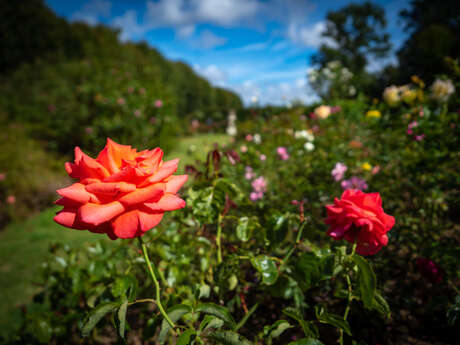 Normandie Impressionniste dans les jardins de Mesnil Geoffroy