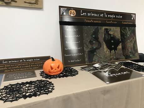 Les animaux d’Halloween au Manoir du Catel