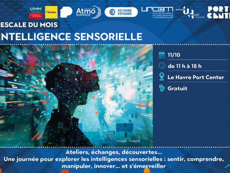 L'Escale du mois : Intelligence sensorielle
