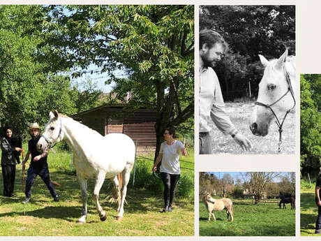 Equicoaching Autrement