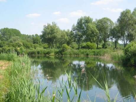 Chasse aux trésor à l'étang de Nesle-Normandeuse