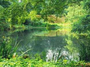 [Balade nature] Autour des étangs d'Arques-la-Bataille