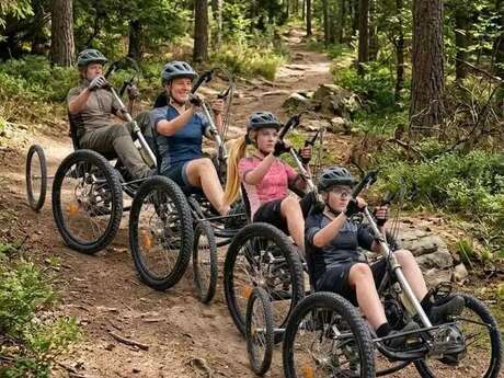 Quad Bike