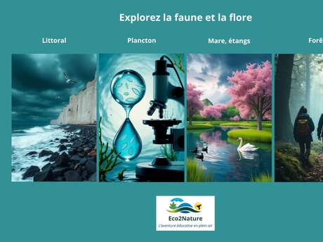 [Balade nature] Explorez la faune et la flore en Normandie