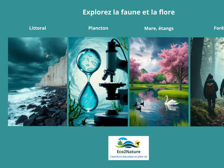 [Balade nature] Explorez la faune et la flore en Normandie