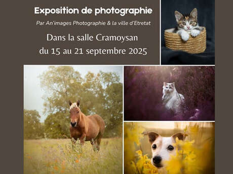 Exposition : An'images