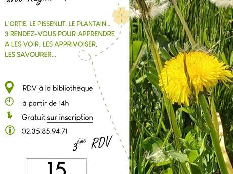 Les plantes sauvages