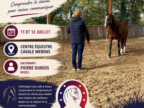 Stage d'équitation - Ethologie