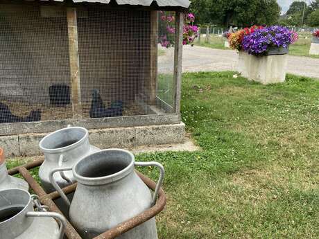 Porte ouverte à la ferme des Châtaigniers