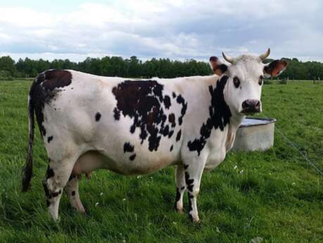 Ferme des Chataigniers