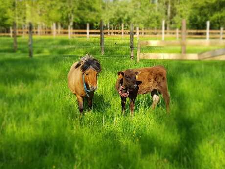 La Ferme du Far West