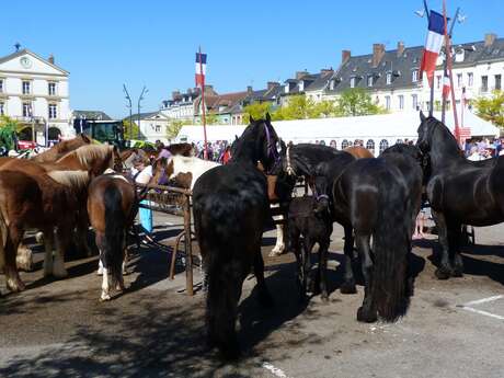 Foire Agricole de Bacqueville en Caux