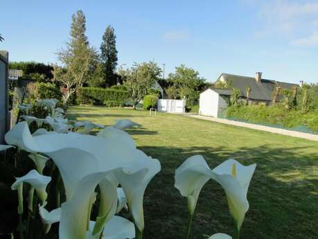 Arums et Silex