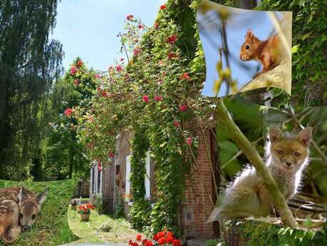 Gîtes de France® - Le Refuge