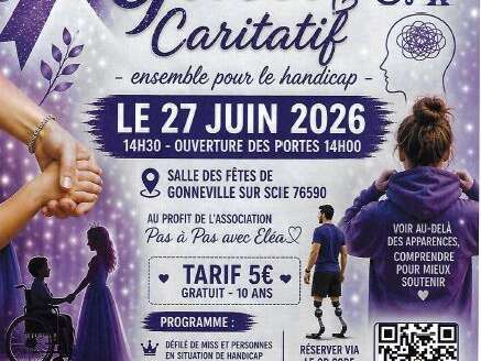 Gala caritatif - Ensemble pour le handicap