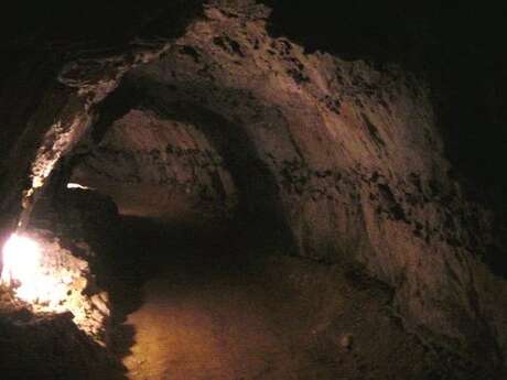 Visites guidées de la grotte des Petites Dalles