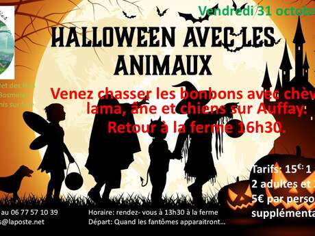 Halloween avec les animaux
