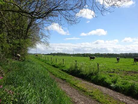 Rendez-vous à la ferme du Bois Gribout