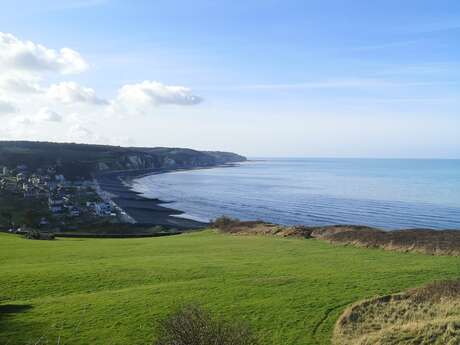 [Balade nature] Le littoral à marée basse